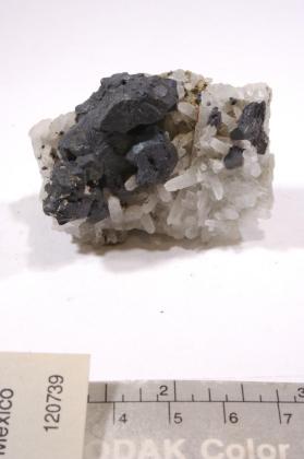 Stephanite