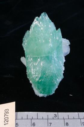 Apophyllite