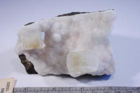 Apophyllite