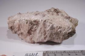 BUSTAMITE with Apophyllite