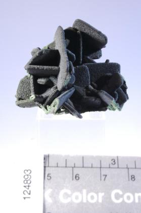 Mottramite