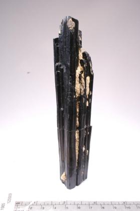 SCHORL