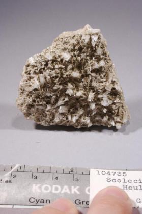 SCOLECITE