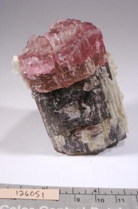 ELBAITE with Illite