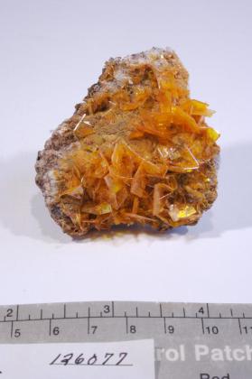 Wulfenite