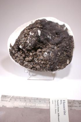 Hauerite