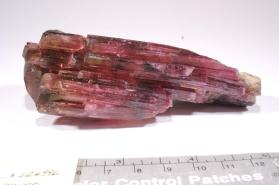 rubellite