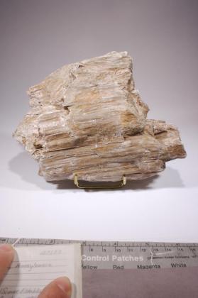 Chrysotile