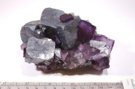 Galena with FLUORITE