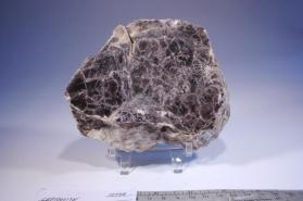 Lepidolite