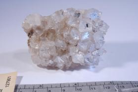 Apophyllite