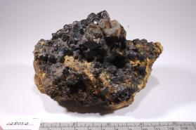 SCHORL