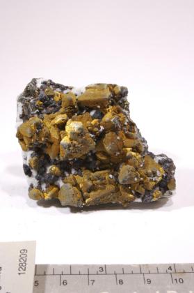 Tetrahedrite with Chalcopyrite and Quartz