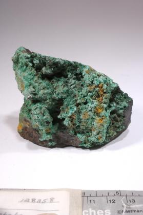 CHRYSOCOLLA