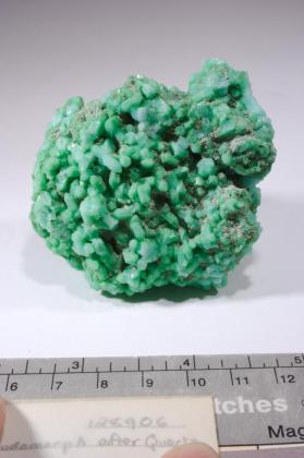 CHRYSOCOLLA