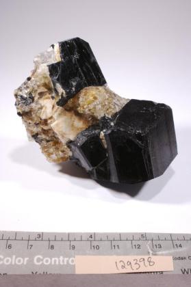 SCHORL