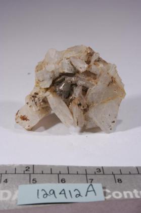 Eudidymite