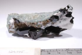 Neptunite with NATROLITE