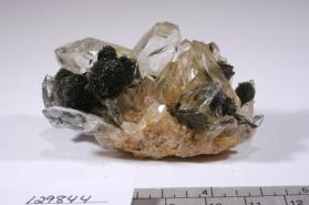 Dravite