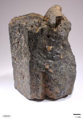 Hornblende