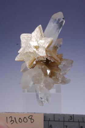 Muscovite