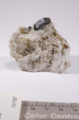 Wodginite with Albite