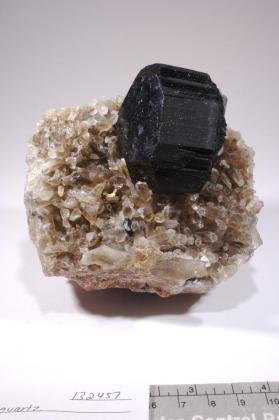 SCHORL