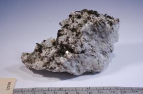 Muscovite