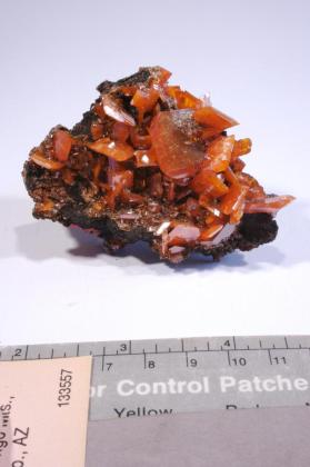 Wulfenite