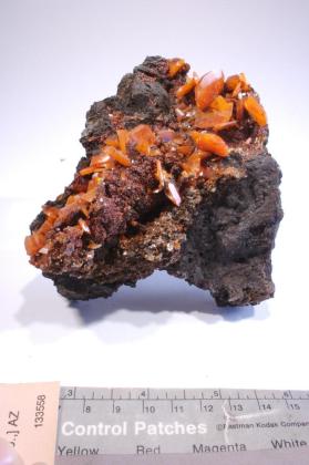 Wulfenite