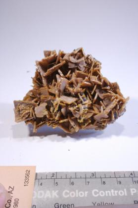 Wulfenite