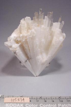 SCOLECITE