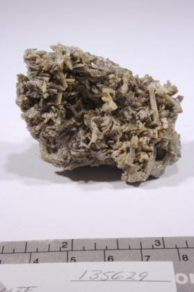 Axinite-(Fe)