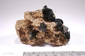 SCHORL