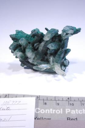 Celadonite with CALCITE