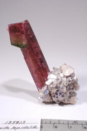 ELBAITE with Lepidolite