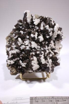 Axinite-(Mn) with CALCITE