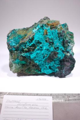 Dioptase with Atacamite