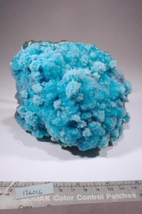 CHRYSOCOLLA