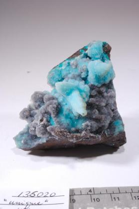 CHRYSOCOLLA with Quartz