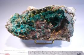 Powellite with Brochantite