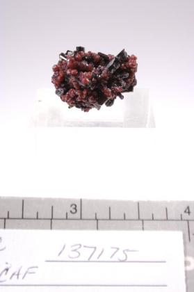 Manganvesuvianite