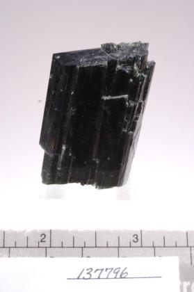 TREMOLITE