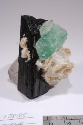 SCHORL with FLUORITE and Muscovite and Quartz