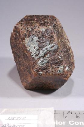 ALMANDINE with Chlorite and Magnetite