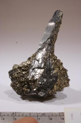 Bismuthinite with Pyrite