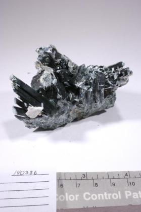 Actinolite