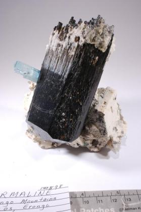 Tourmaline Group