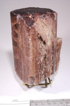 rubellite with Muscovite