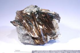 Astrophyllite